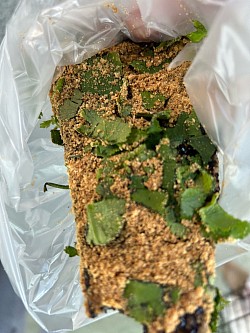 パクチーと豚血餅